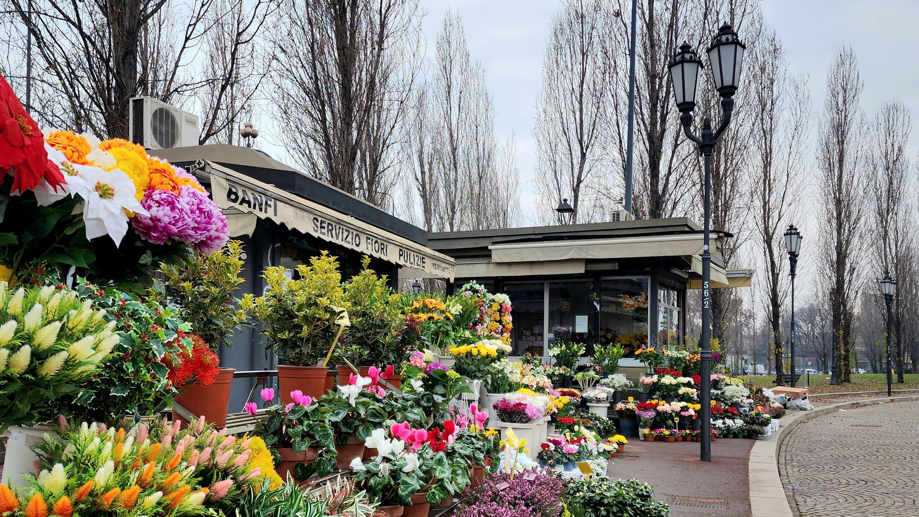 el camino de regreso. 